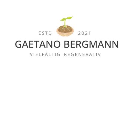 Gaetano bergmann